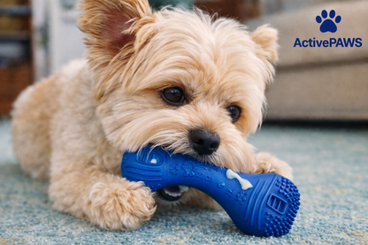 ActivePAWS CleanChew™