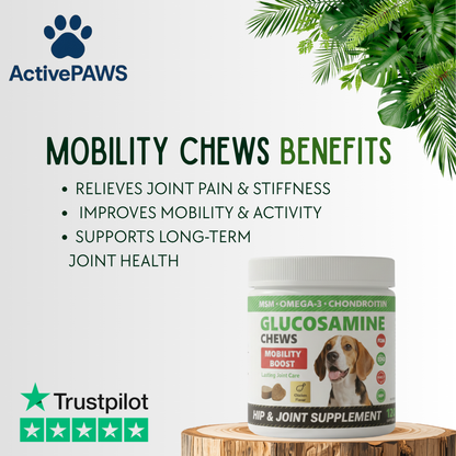 ActivePAWS Hip & Joint Chews (220g)