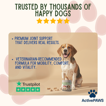 ActivePAWS Hip & Joint Chews (220g)